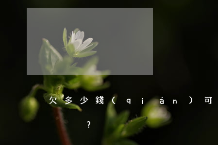 欠多少錢(qián)可以立案抓人？